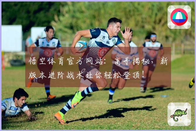 悟空体育官方网站：高手揭秘，新版本进阶战术让你轻松登顶！
