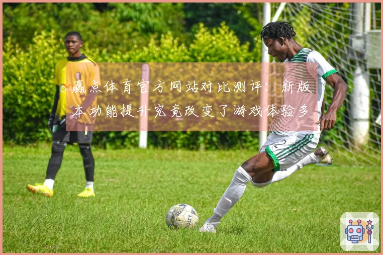 赢点体育官方网站对比测评：新版本功能提升究竟改变了游戏体验多少？