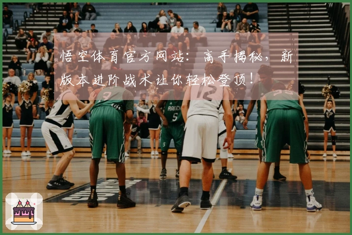 悟空体育官方网站：高手揭秘，新版本进阶战术让你轻松登顶！